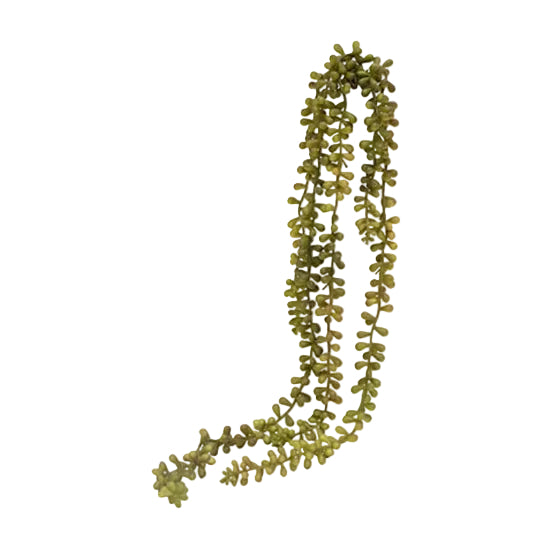 Shop the 70 cm String of Pearls Hanging Succulent – a vibrant faux plant in red and green, ideal for adding cascading texture and color to home décor.
