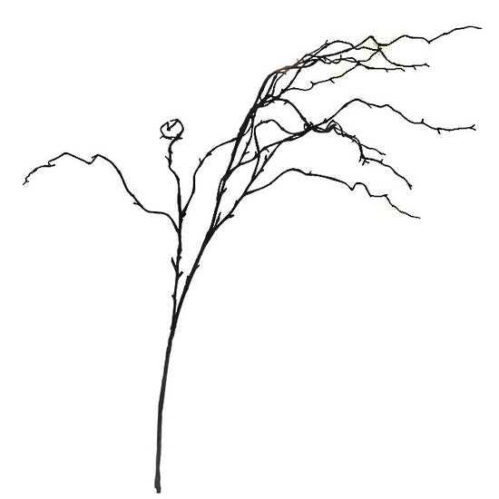 Shop the 1 m Brown Willow Branch – a realistic faux stem ideal for adding natural texture, height, and organic elegance to home décor.