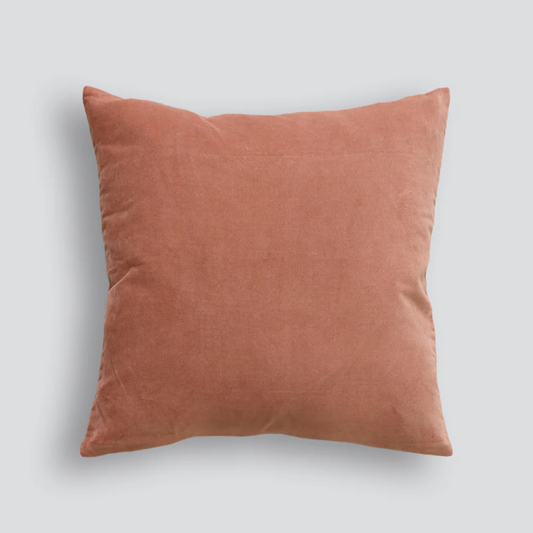 Velvet Cushion with linen backing. Feather filled