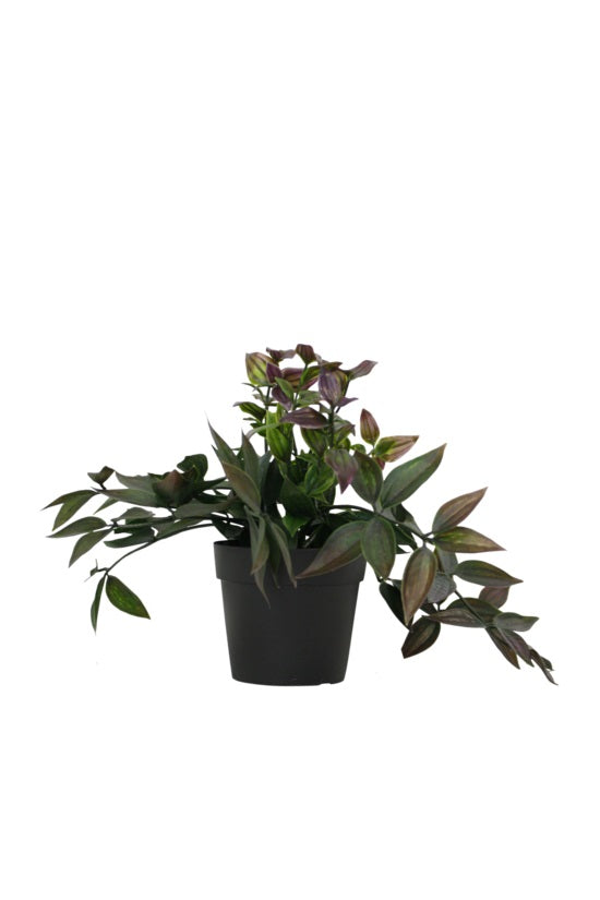 Realistic artificial plant for tabletop or shelf display