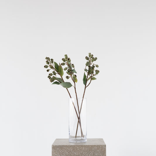 Close-up of Eucalyptus Gumnut Branch, 64cm