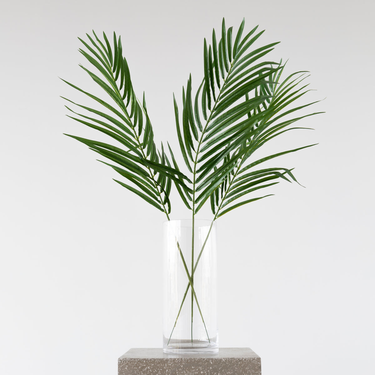 Close-up of Areca Palm Spray foliage, 90cm