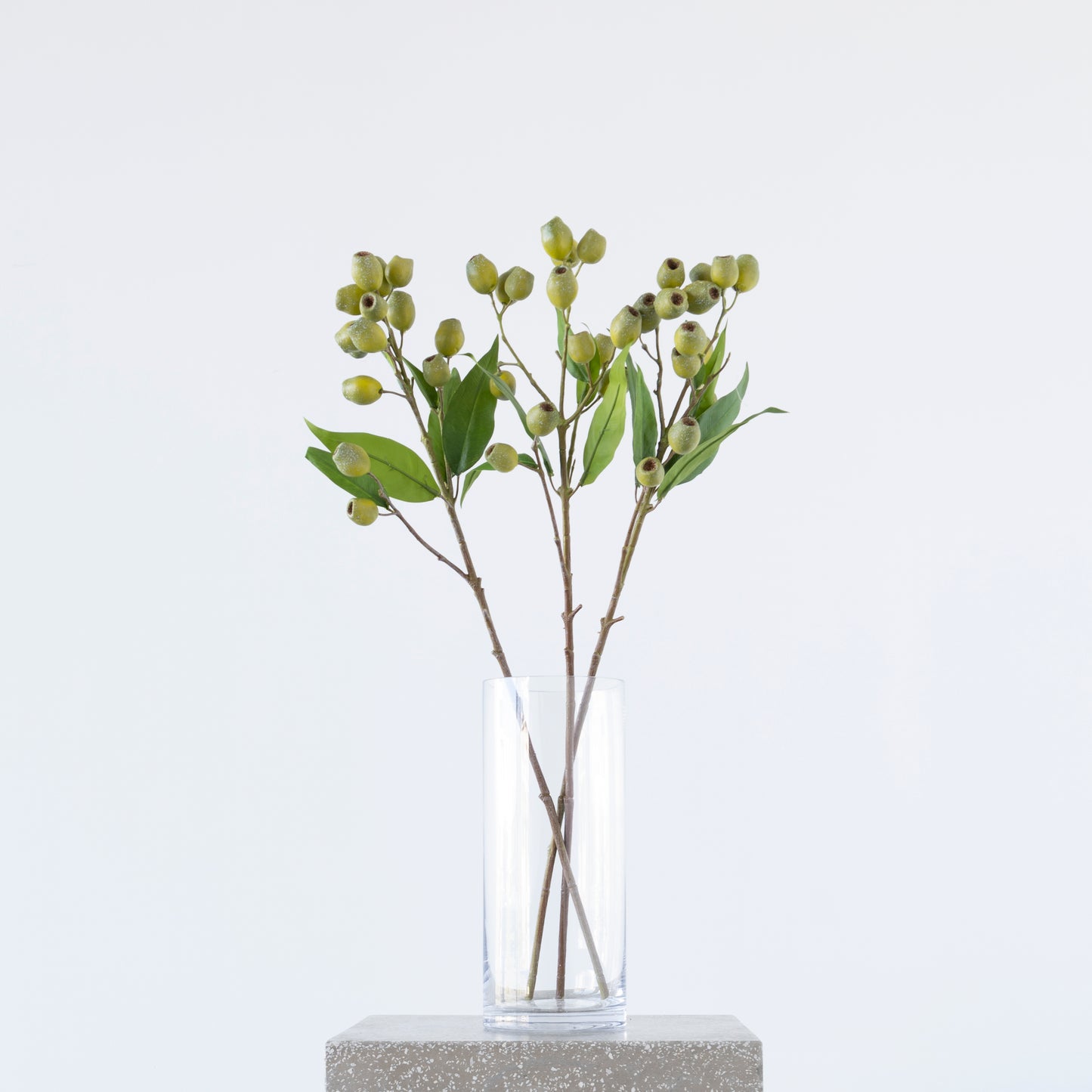 Close-up of Eucalyptus Pod Green foliage, 67cm