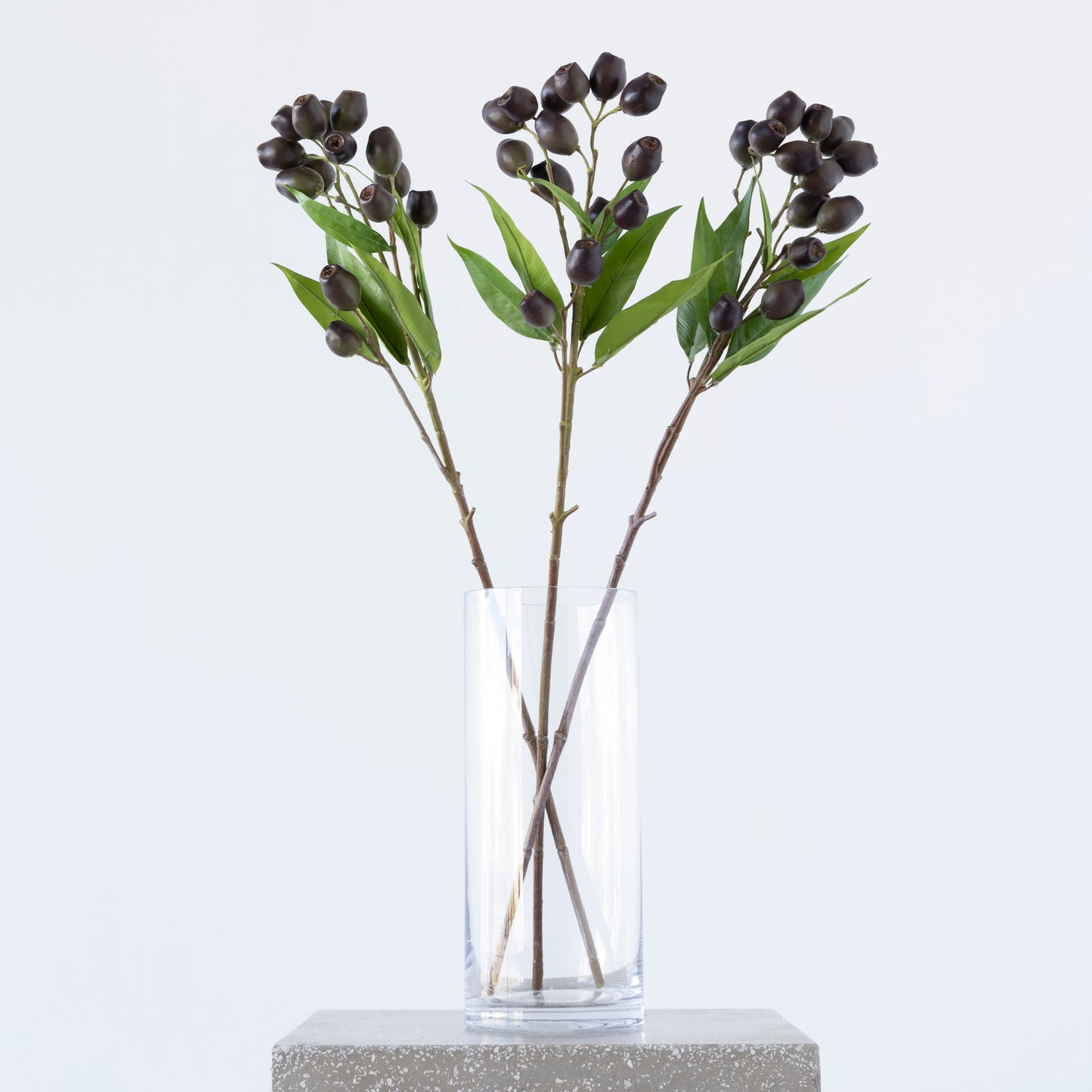 Close-up of Eucalyptus Pod Brown foliage, 67cm