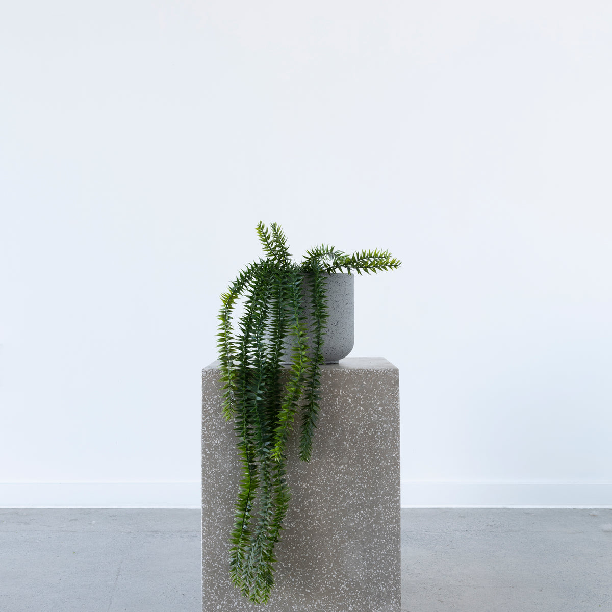 Coarse Tassel Fern Hanging Potted 71cm from BLACK Concept Store