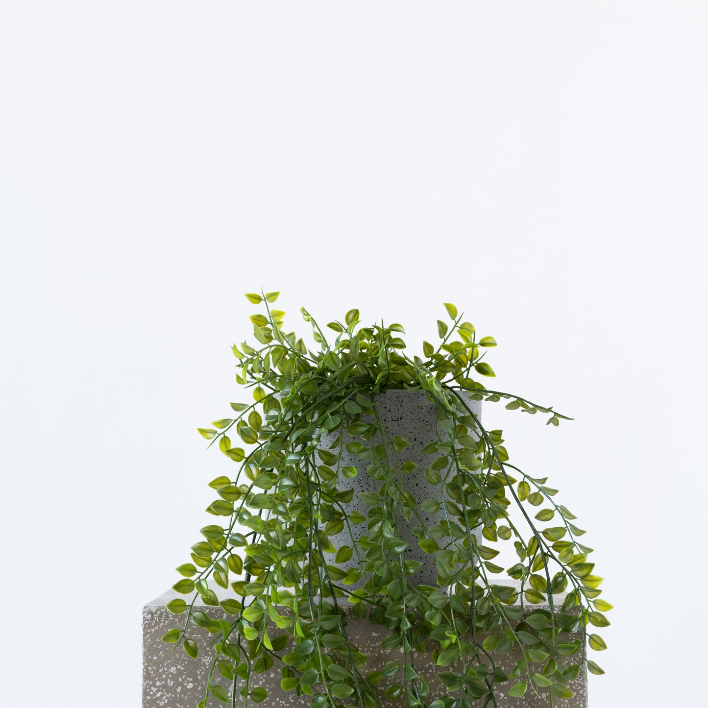 Hanging Rattan Bush