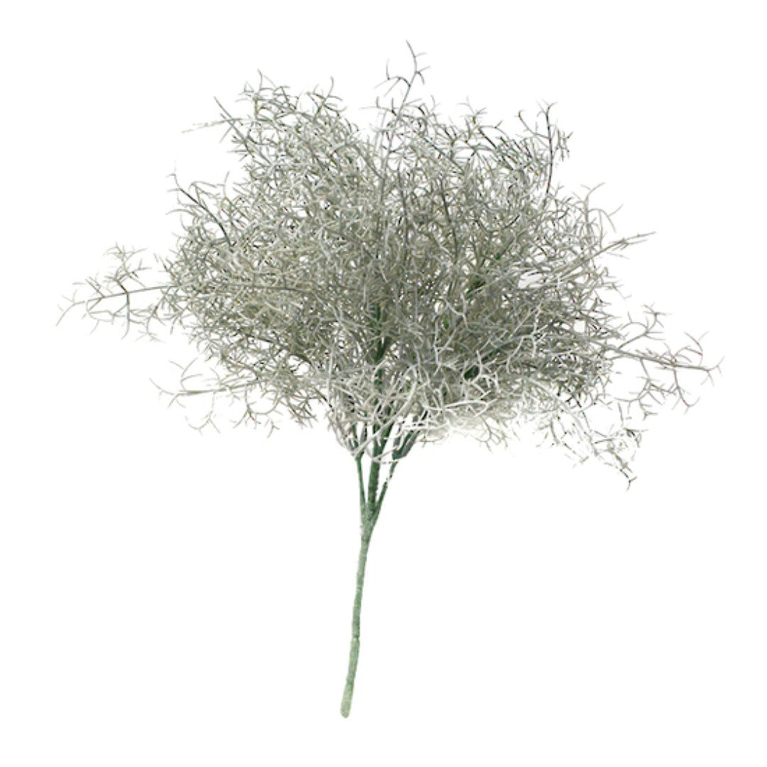 Desert Bush