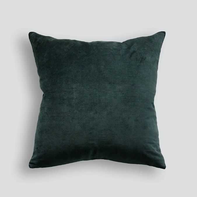 Velvet Cushion with linen backing. Feather filled