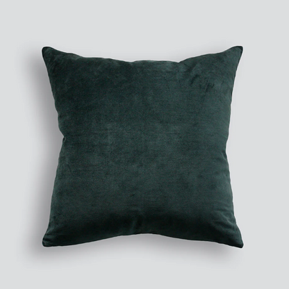 Velvet Cushion with linen backing. Feather filled