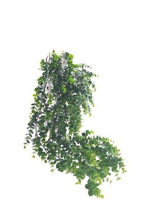 Hanging Eucalyptus Grey/Green - 82cm