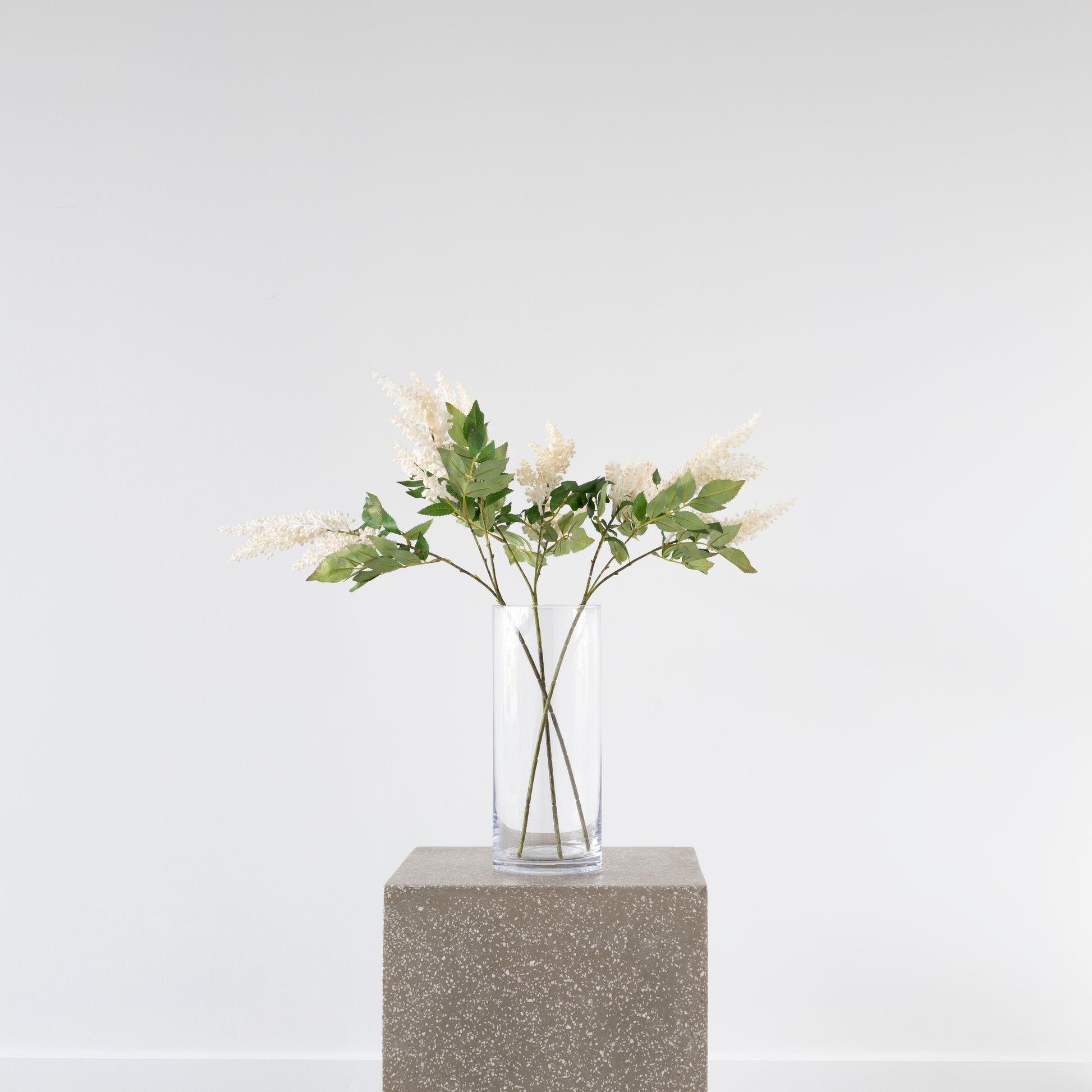 Close-up of Veronica Spray flowers, 70cm