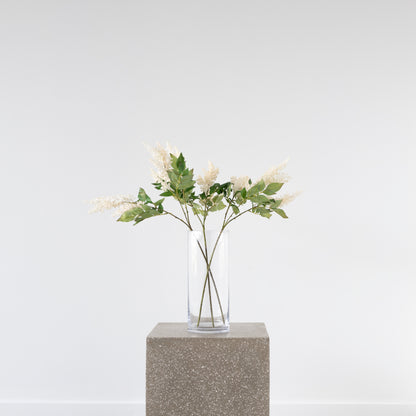 Close-up of Veronica Spray flowers, 70cm