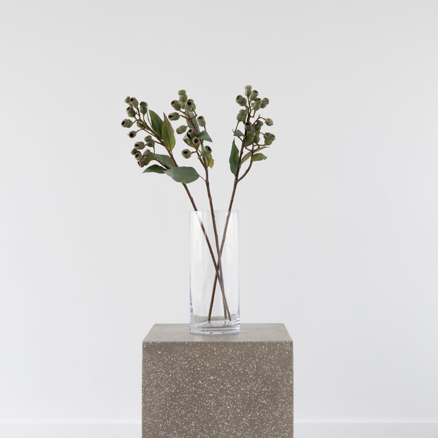 Eucalyptus Gumnut Branch 64cm from BLACK Concept Store