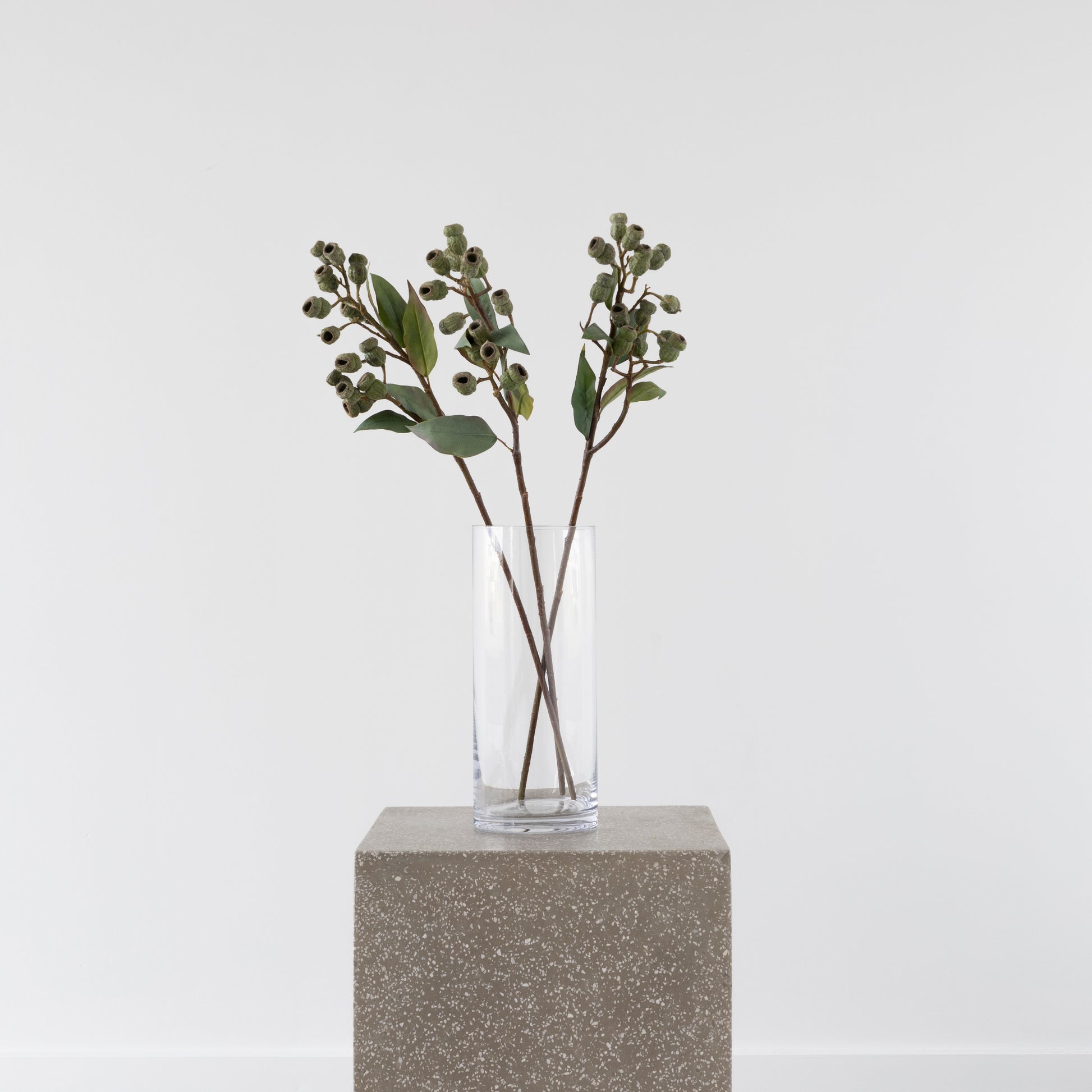 Eucalyptus Gumnut Branch 64cm from BLACK Concept Store