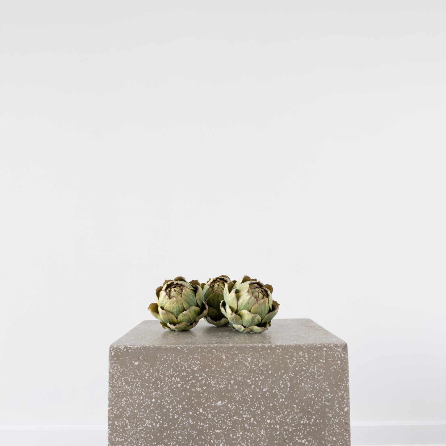 Close-up of Open Artichoke detailing