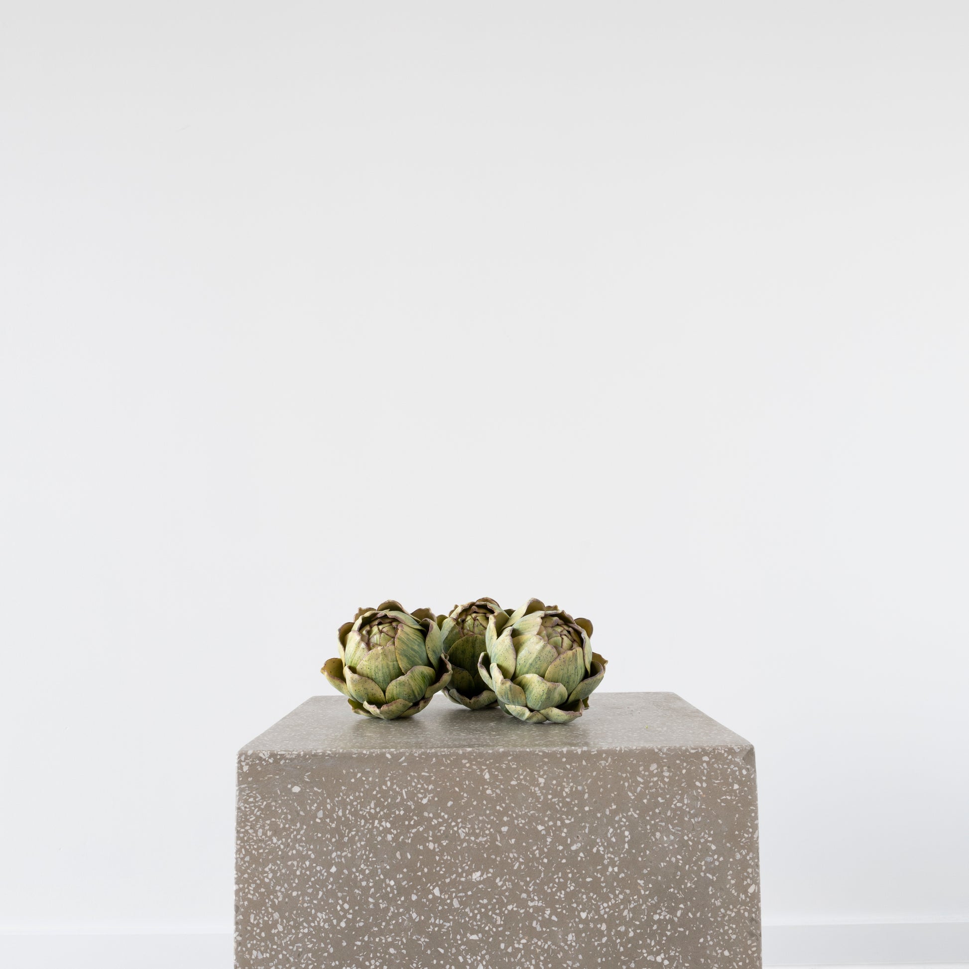 Close-up of Open Artichoke detailing