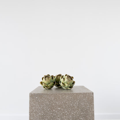 Close-up of Open Artichoke detailing