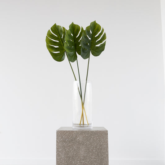 Split Philo Leaf 81cm from BLACK Concept Store