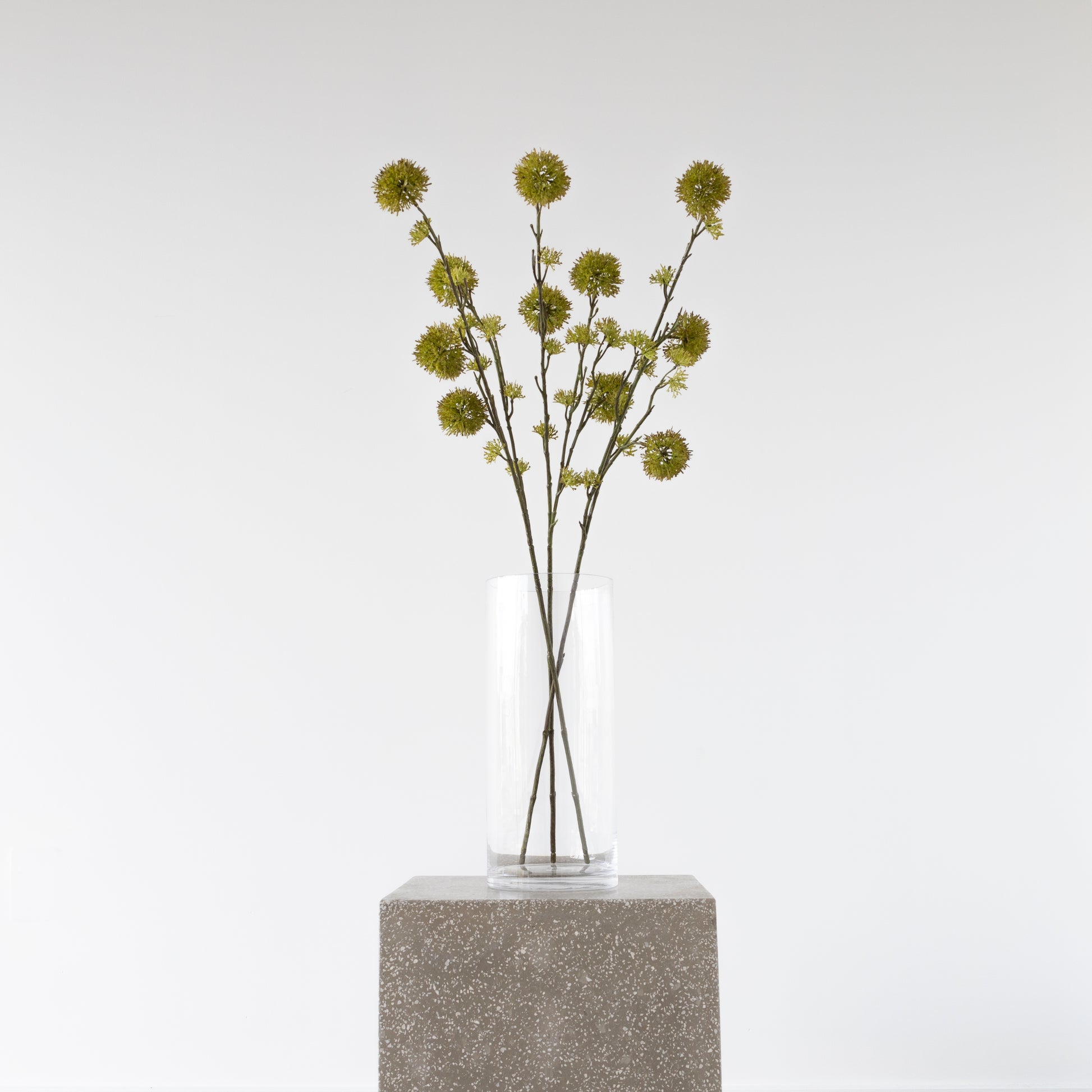 Close-up of Castanas Tree leaves, 84cm