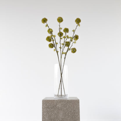 Close-up of Castanas Tree leaves, 84cm