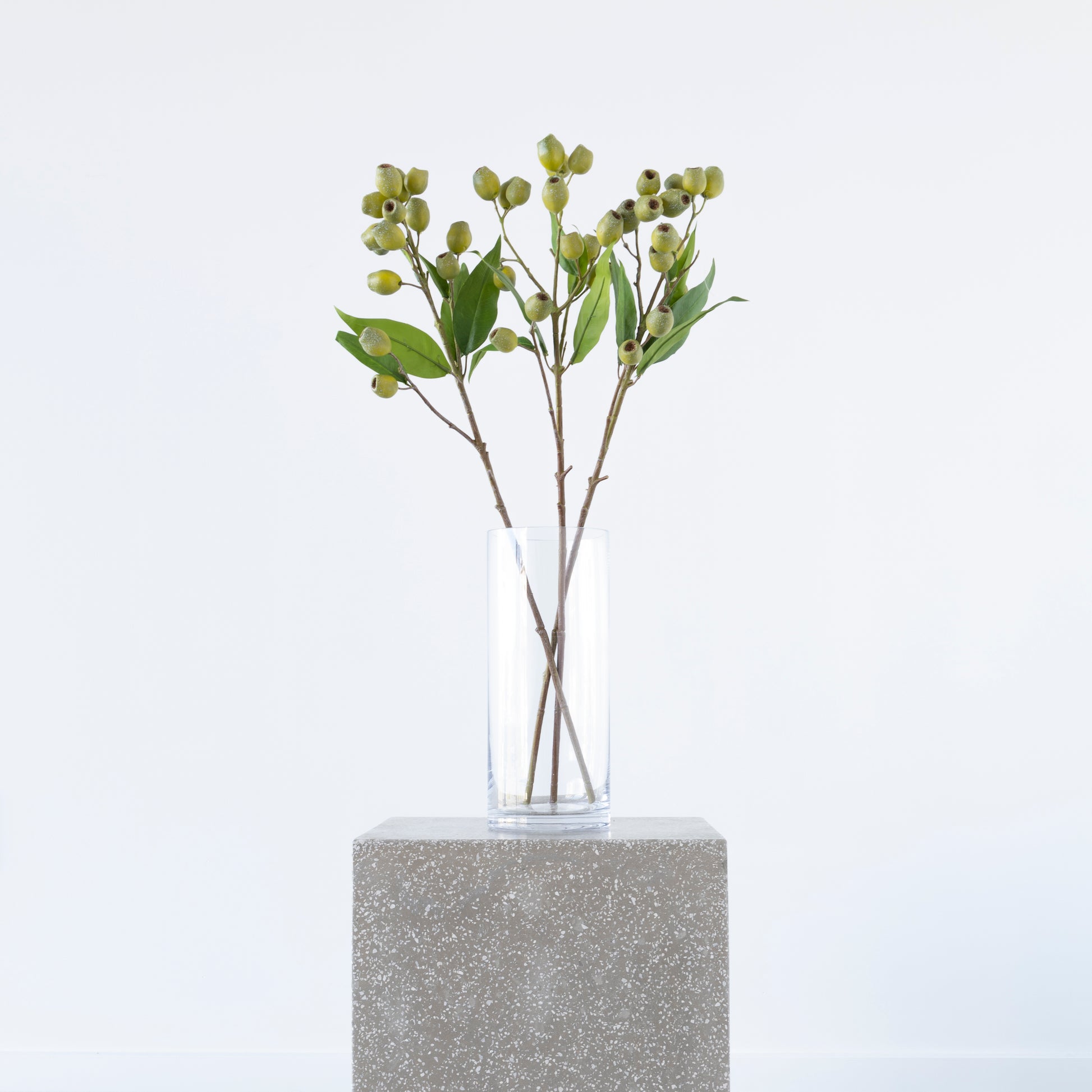 Eucalyptus Pod Green with green leaves 67cm from BLACK Concept Store
