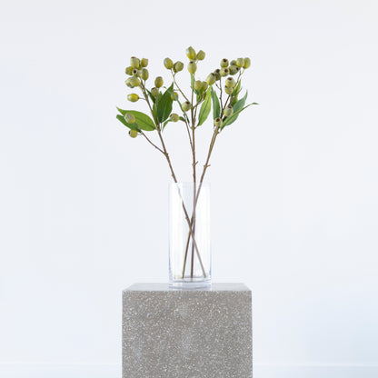Eucalyptus Pod Green with green leaves 67cm from BLACK Concept Store
