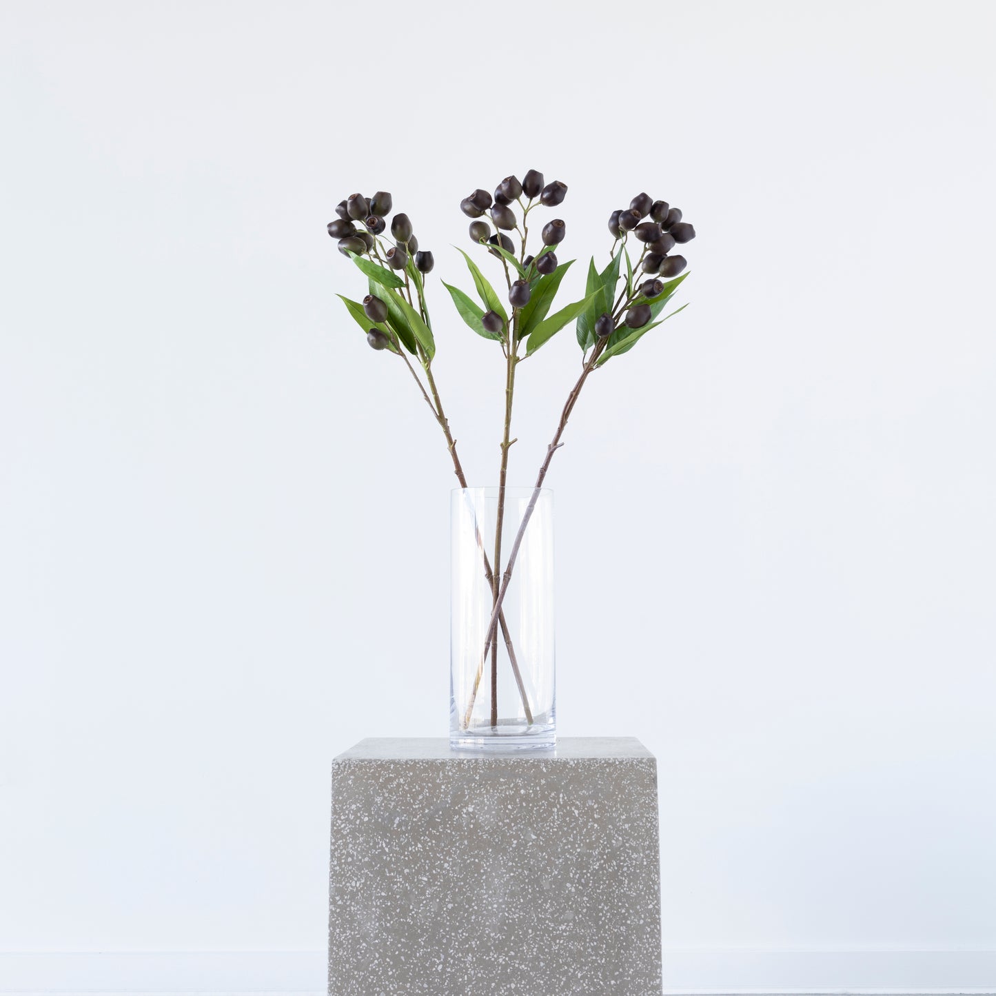 Eucalyptus Pod Brown with green leaves 67cm from BLACK Concept Store