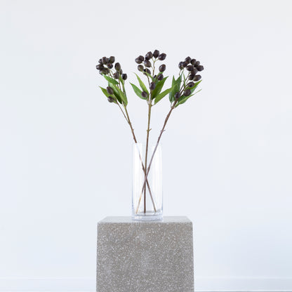 Eucalyptus Pod Brown with green leaves 67cm from BLACK Concept Store