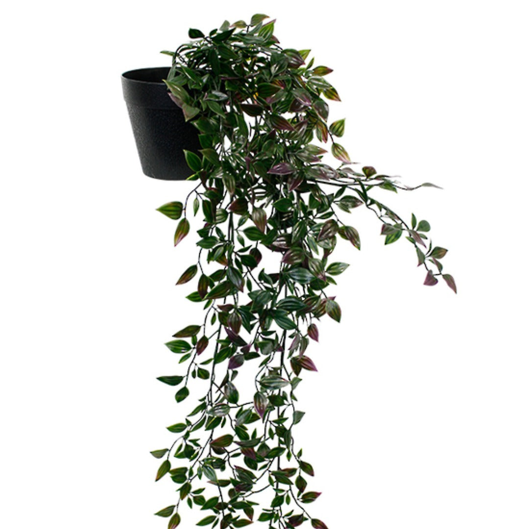 Decorative indoor greenery in black plastic pot