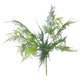Asparagus Fern Bush - 45cm