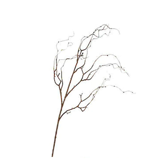 Brown Willow Branch - 104cm