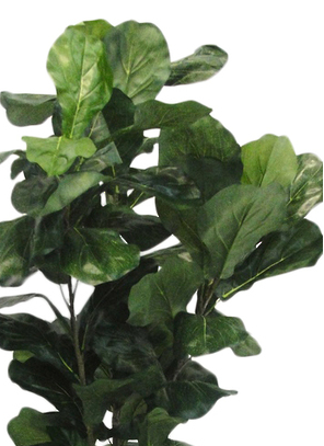 Fiddle tree styled in modern living room corner