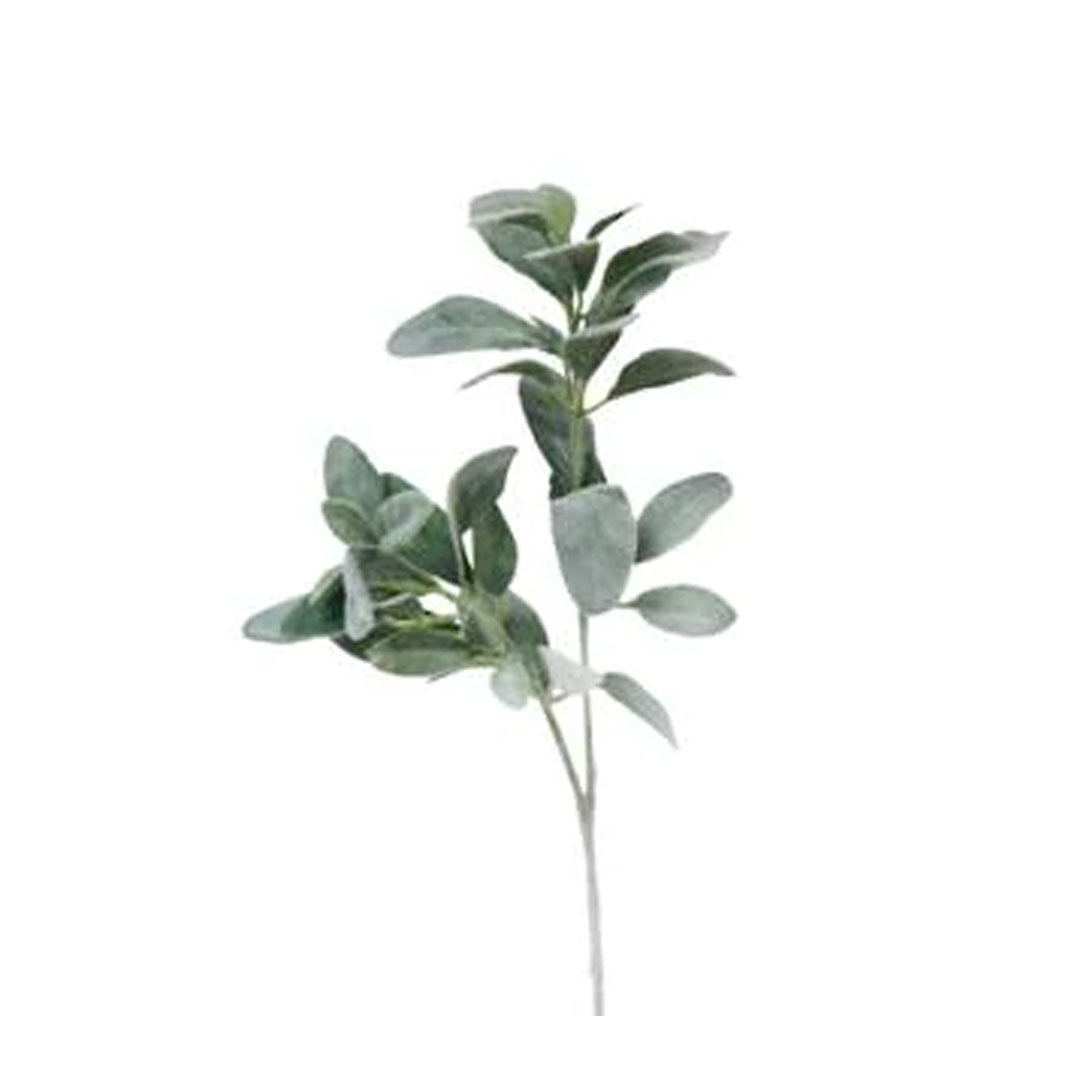 71cm Lambs Ear stem with green foliage